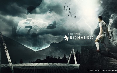 香蕉体育独家-于帕梅卡诺又当爹又当妈